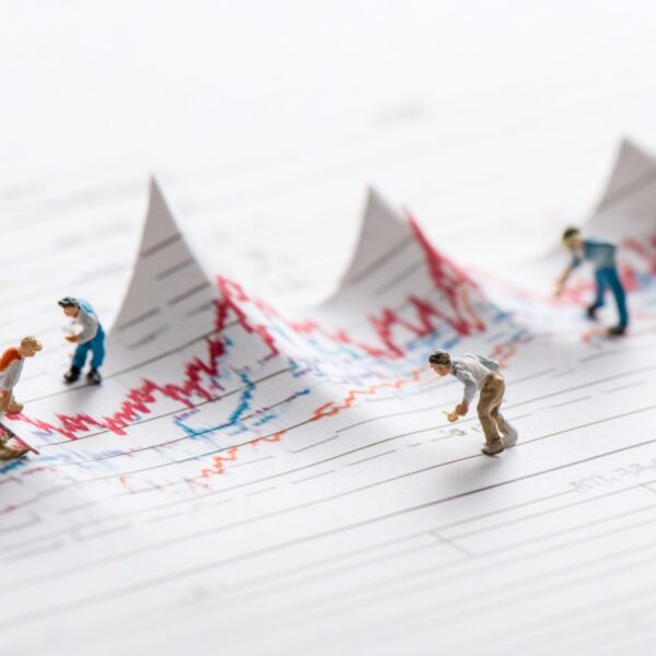 Wie Schwerin seine Wirtschaftsförderung für digitale Branchen neu ausrichtet