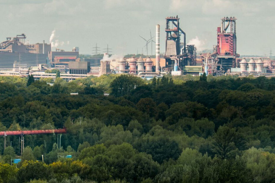 Dachbegrünung mit Erfahrung in Duisburg