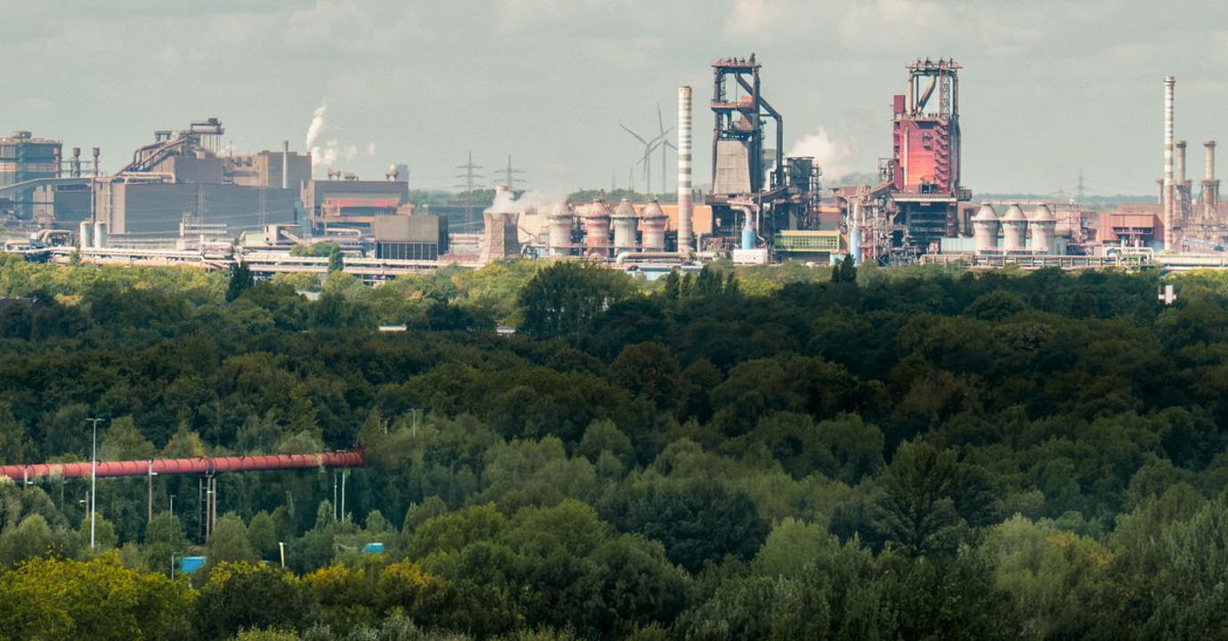 Dachbegrünung mit Erfahrung in Duisburg